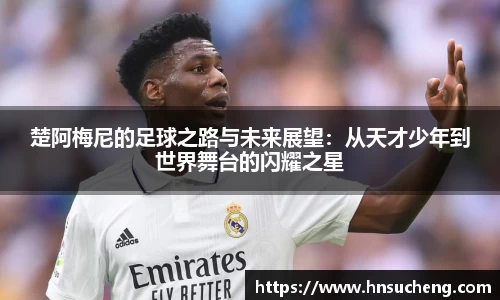 SG胜游官网