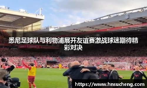 SG官网