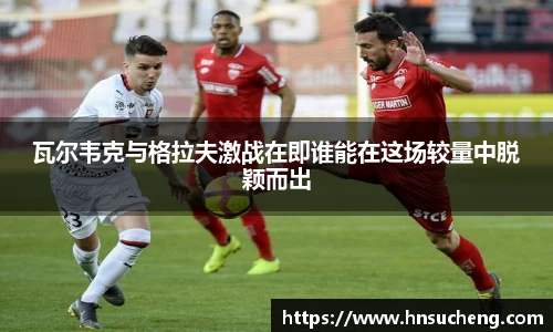 SG官网